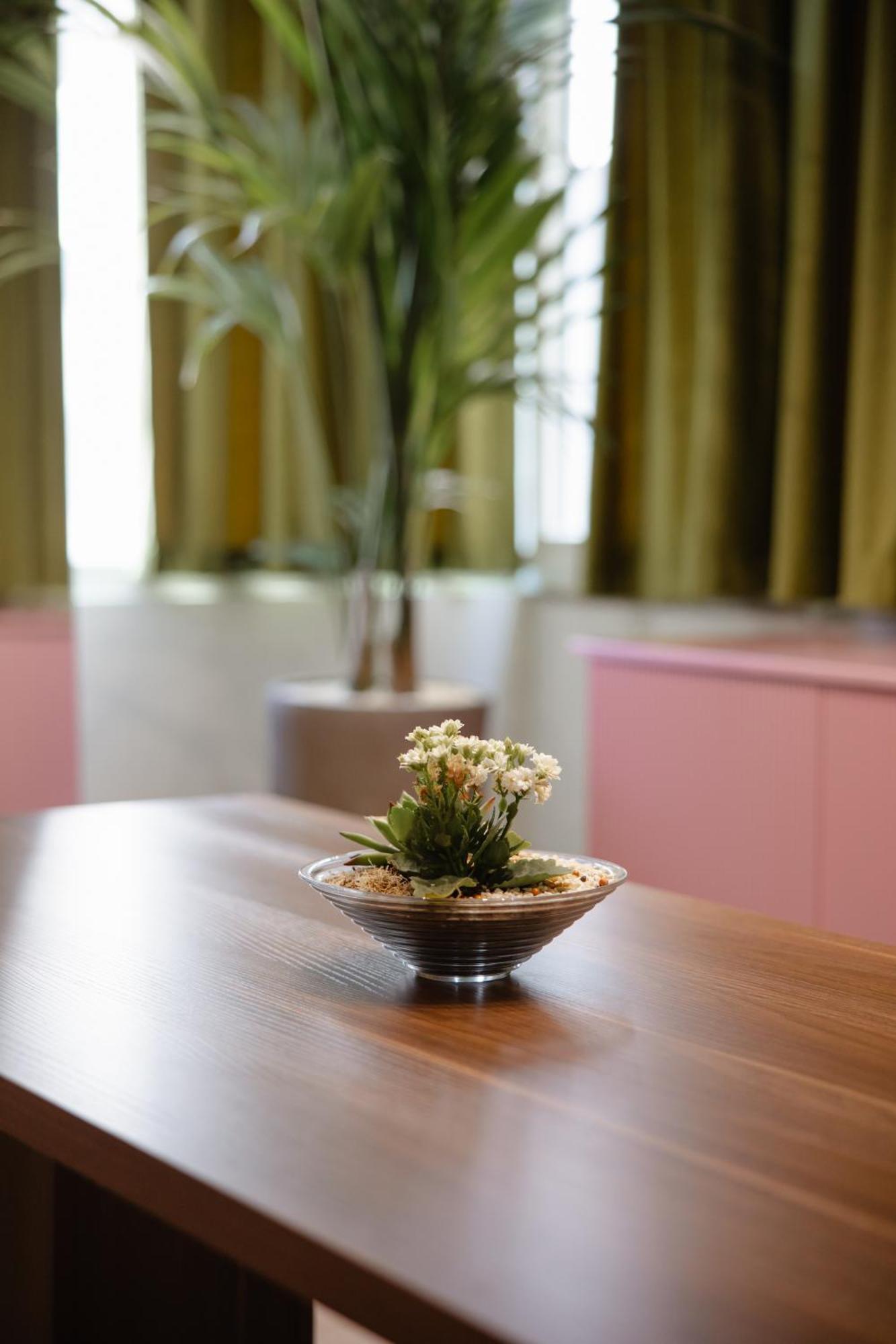 Corner Hostel Shkodër Екстериор снимка